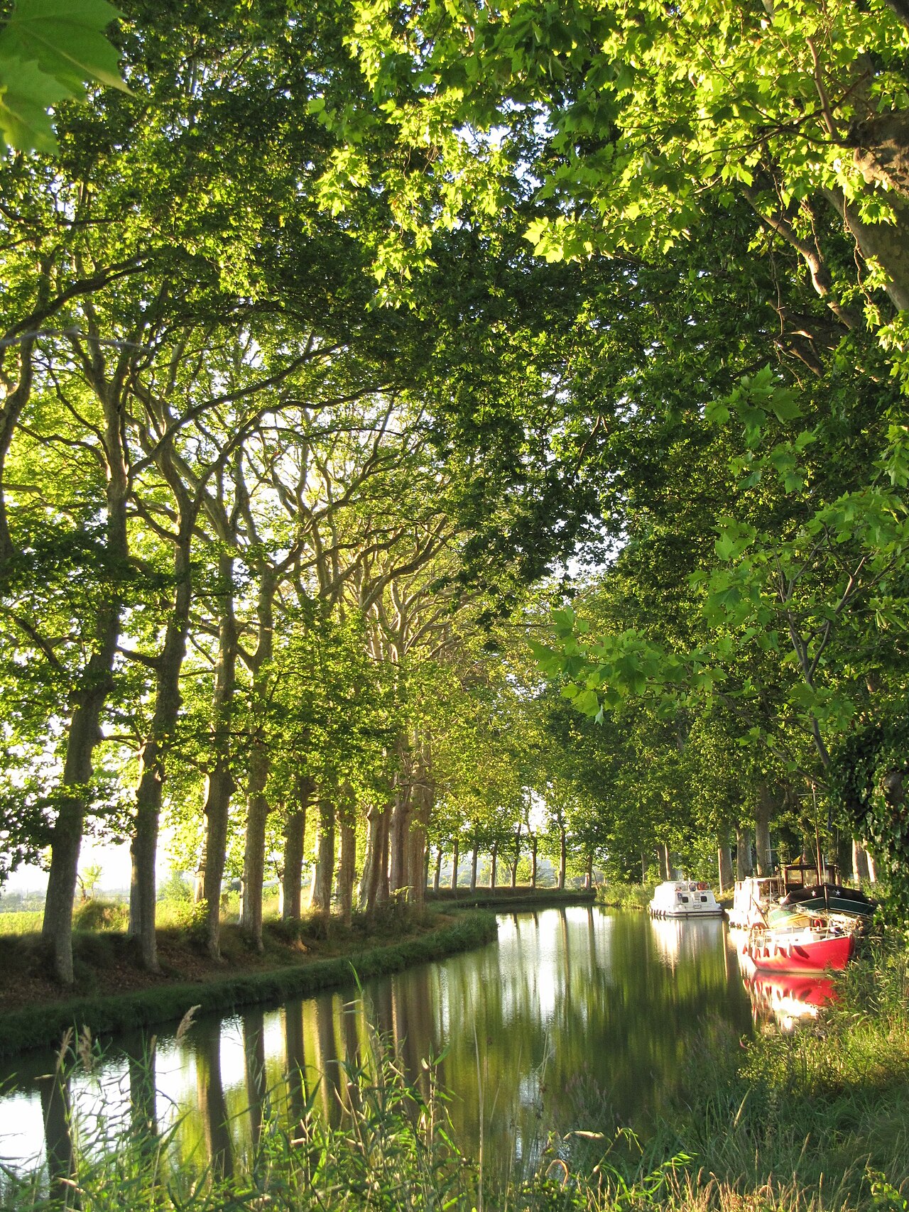 Canal du Midi bordé de platanes, deux bateaux amarrés dont une coque rouge, eau calme.
